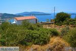 Marmari Evia | Griekenland | Foto 44 - Foto van De Griekse Gids