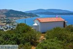 Marmari Evia | Griekenland | Foto 45 - Foto van De Griekse Gids