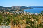Marmari Evia | Griekenland | Foto 51 - Foto van De Griekse Gids
