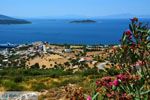 Marmari Evia | Griekenland | Foto 55 - Foto van De Griekse Gids