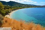 Strand Kokkini | Marmari Evia | Griekenland foto 17 - Foto van De Griekse Gids