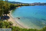 Strand Kavos | Marmari Evia | Griekenland foto 1 - Foto van De Griekse Gids