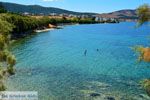 GriechenlandWeb Strand Kavos | Marmari Evia | Griechenland foto 6 - Foto GriechenlandWeb.de