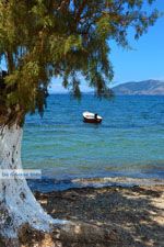 Strand Marmari Evia | Griekenland | Foto 5 - Foto van De Griekse Gids