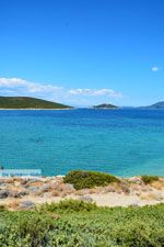 GriechenlandWeb.de Bij Golden beach Evia | Marmari Evia | Griechenland foto 45 - Foto GriechenlandWeb.de