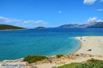 Bij Golden beach Evia | Marmari Evia | Griekenland foto 46 - Foto van De Griekse Gids