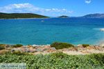 Bij Golden beach Evia | Marmari Evia | Griekenland foto 54 - Foto van De Griekse Gids