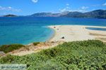 GriechenlandWeb Bij Golden beach Evia | Marmari Evia | Griechenland foto 57 - Foto GriechenlandWeb.de