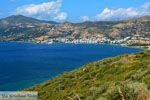 Bij Golden beach Evia | Marmari Evia | Griekenland foto 65 - Foto van De Griekse Gids