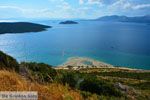 Bij Golden beach Evia | Marmari Evia | Griekenland foto 66 - Foto van De Griekse Gids