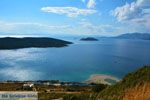 Bij Golden beach Evia | Marmari Evia | Griekenland foto 68 - Foto van De Griekse Gids