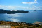Bij Golden beach Evia | Marmari Evia | Griekenland foto 69 - Foto van De Griekse Gids