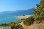 Bij Golden beach Evia | Marmari Evia | Griekenland foto 77 - Foto van De Griekse Gids