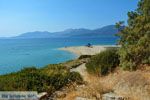 Bij Golden beach Evia | Marmari Evia | Griekenland foto 78 - Foto van De Griekse Gids