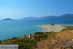 Bij Golden beach Evia | Marmari Evia | Griekenland foto 79 - Foto van De Griekse Gids