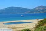 Bij Golden beach Evia | Marmari Evia | Griekenland foto 81 - Foto van De Griekse Gids