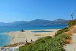 Bij Golden beach Evia | Marmari Evia | Griekenland foto 83 - Foto van De Griekse Gids