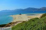 Bij Golden beach Evia | Marmari Evia | Griekenland foto 87 - Foto van De Griekse Gids