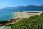 Bij Golden beach Evia | Marmari Evia | Griekenland foto 89 - Foto van De Griekse Gids