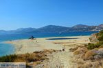 Bij Golden beach Evia | Marmari Evia | Griekenland foto 93 - Foto van De Griekse Gids