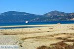 Bij Golden beach Evia | Marmari Evia | Griekenland foto 96 - Foto van De Griekse Gids