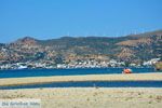 Bij Golden beach Evia | Marmari Evia | Griekenland foto 97 - Foto van De Griekse Gids