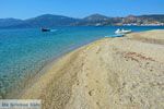 Bij Golden beach Evia | Marmari Evia | Griekenland foto 105 - Foto van De Griekse Gids