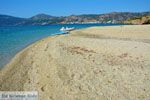 Bij Golden beach Evia | Marmari Evia | Griekenland foto 106 - Foto van De Griekse Gids
