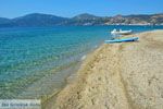 Bij Golden beach Evia | Marmari Evia | Griekenland foto 107 - Foto van De Griekse Gids