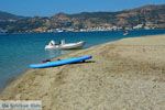 Bij Golden beach Evia | Marmari Evia | Griekenland foto 109 - Foto van De Griekse Gids