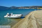 Bij Golden beach Evia | Marmari Evia | Griekenland foto 110 - Foto van De Griekse Gids
