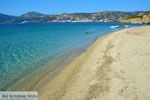 Bij Golden beach Evia | Marmari Evia | Griekenland foto 111 - Foto van De Griekse Gids
