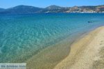 Bij Golden beach Evia | Marmari Evia | Griekenland foto 112 - Foto van De Griekse Gids