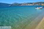 Bij Golden beach Evia | Marmari Evia | Griekenland foto 114 - Foto van De Griekse Gids