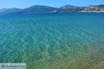 Bij Golden beach Evia | Marmari Evia | Griekenland foto 115 - Foto van De Griekse Gids