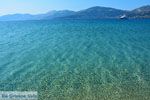 Bij Golden beach Evia | Marmari Evia | Griekenland foto 116 - Foto van De Griekse Gids