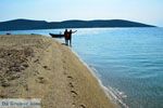 Bij Golden beach Evia | Marmari Evia | Griekenland foto 117 - Foto van De Griekse Gids