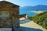 Bij Golden beach Evia | Marmari Evia | Griekenland foto 124 - Foto van De Griekse Gids