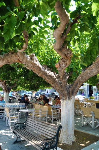 Karystos Evia | Griekenland | Foto 11 - Foto van https://www.grieksegids.nl/fotos/zuid-evia/normaal/zuid-evia-016.jpg