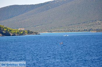 Marmari Evia | Griekenland | Foto 13 - Foto van https://www.grieksegids.nl/fotos/zuid-evia/normaal/zuid-evia-072.jpg