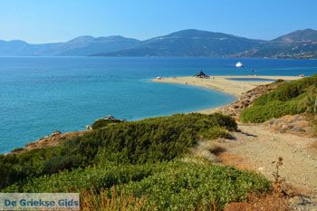 Golden beach Evia | Marmari Evia | Griekenland foto 12 - Foto van https://www.grieksegids.nl/fotos/zuid-evia/normaal/zuid-evia-090.jpg