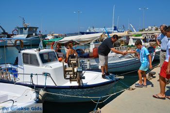Marmari Evia | Griekenland | Foto 20 - Foto van https://www.grieksegids.nl/fotos/zuid-evia/normaal/zuid-evia-104.jpg