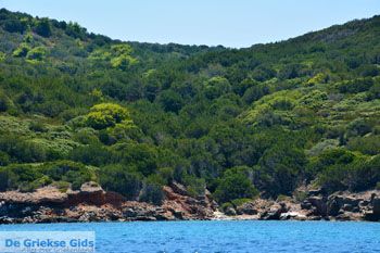 Petali Evia Eilanden | Marmari Evia | Foto 1 - Foto van https://www.grieksegids.nl/fotos/zuid-evia/normaal/zuid-evia-120.jpg