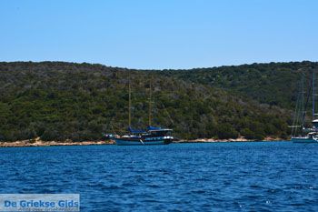 Petali Evia Eilanden | Marmari Evia | Foto 6 - Foto van https://www.grieksegids.nl/fotos/zuid-evia/normaal/zuid-evia-125.jpg