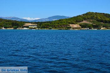 Petali Evia Eilanden | Marmari Evia | Foto 21 - Foto van https://www.grieksegids.nl/fotos/zuid-evia/normaal/zuid-evia-140.jpg