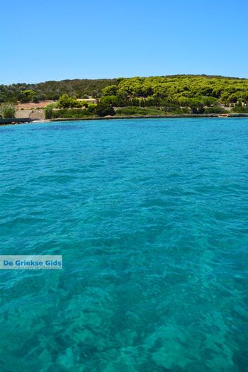 Petali Evia Eilanden | Marmari Evia | Foto 24 - Foto van https://www.grieksegids.nl/fotos/zuid-evia/normaal/zuid-evia-143.jpg