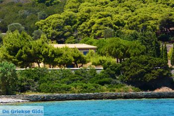 Petali Evia Eilanden | Marmari Evia | Foto 26 - Foto van https://www.grieksegids.nl/fotos/zuid-evia/normaal/zuid-evia-145.jpg