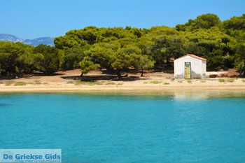 Petali Evia Eilanden | Marmari Evia | Foto 34 - Foto van https://www.grieksegids.nl/fotos/zuid-evia/normaal/zuid-evia-153.jpg