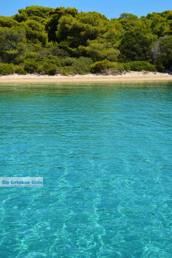 Petali Evia Eilanden | Marmari Evia | Foto 35 - Foto van https://www.grieksegids.nl/fotos/zuid-evia/normaal/zuid-evia-154.jpg