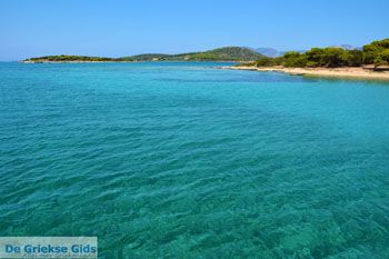 Petali Evia Eilanden | Marmari Evia | Foto 37 - Foto van https://www.grieksegids.nl/fotos/zuid-evia/normaal/zuid-evia-156.jpg